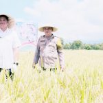 Bantaeng Panen Raya Padi Serentak