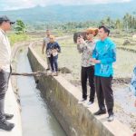 Pasca Jebol, Irigasi Mamampang Normal kembali