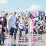 Bupati Bantaeng dan KKN Unhas Tanam  Mangrove