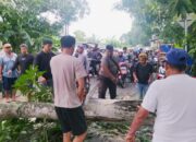 Warga Bontomakkio Idolakan Kepala Dusun Yusuf