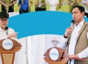 BULOG Launching Serapan Gabah Petani di Maros