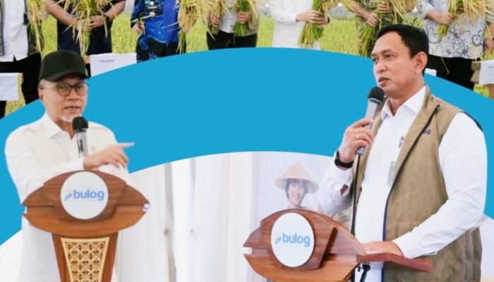 BULOG Launching Serapan Gabah Petani di Maros