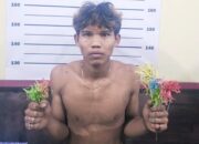 Ero Nikana Jagoan Eh Dicokok Poisi, Rasain !! 