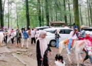 Pasca Lebaran, Wisata Malino Diserbu Pengunjung