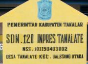 Usut Kasus Revitalisasi SDN 120 Inpres Tamalate Galut